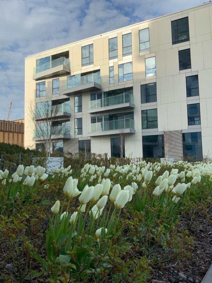 Апартаменты Yacht Park Marina Гдыня Экстерьер фото